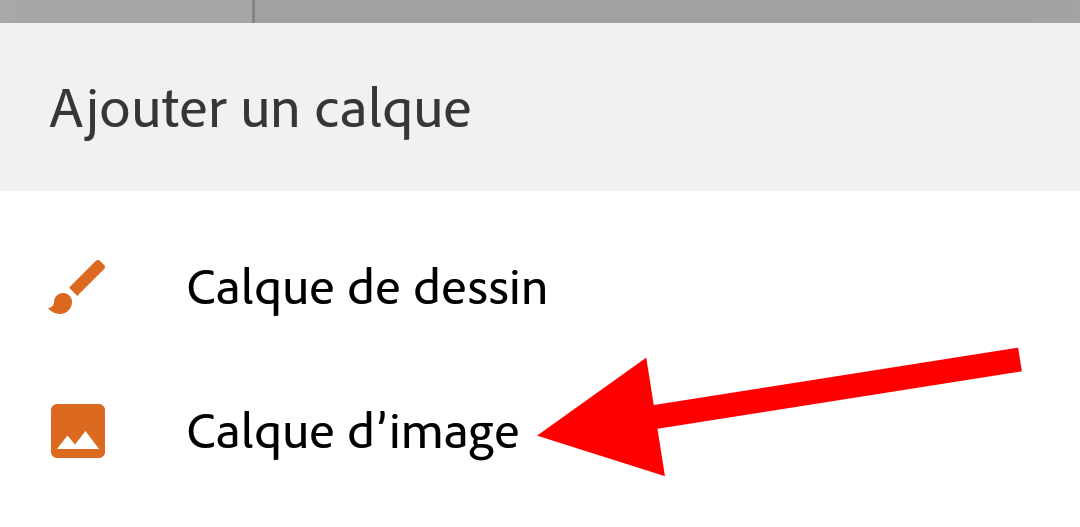 Capa de imagen de Adobe