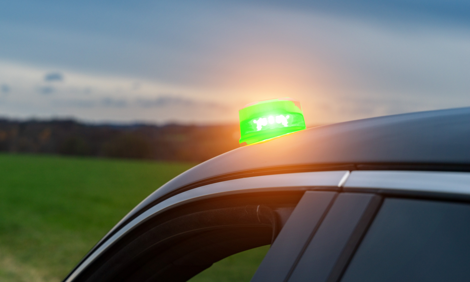 Zielone koguty w prywatnych samochodach trafią na biurko Prezydenta