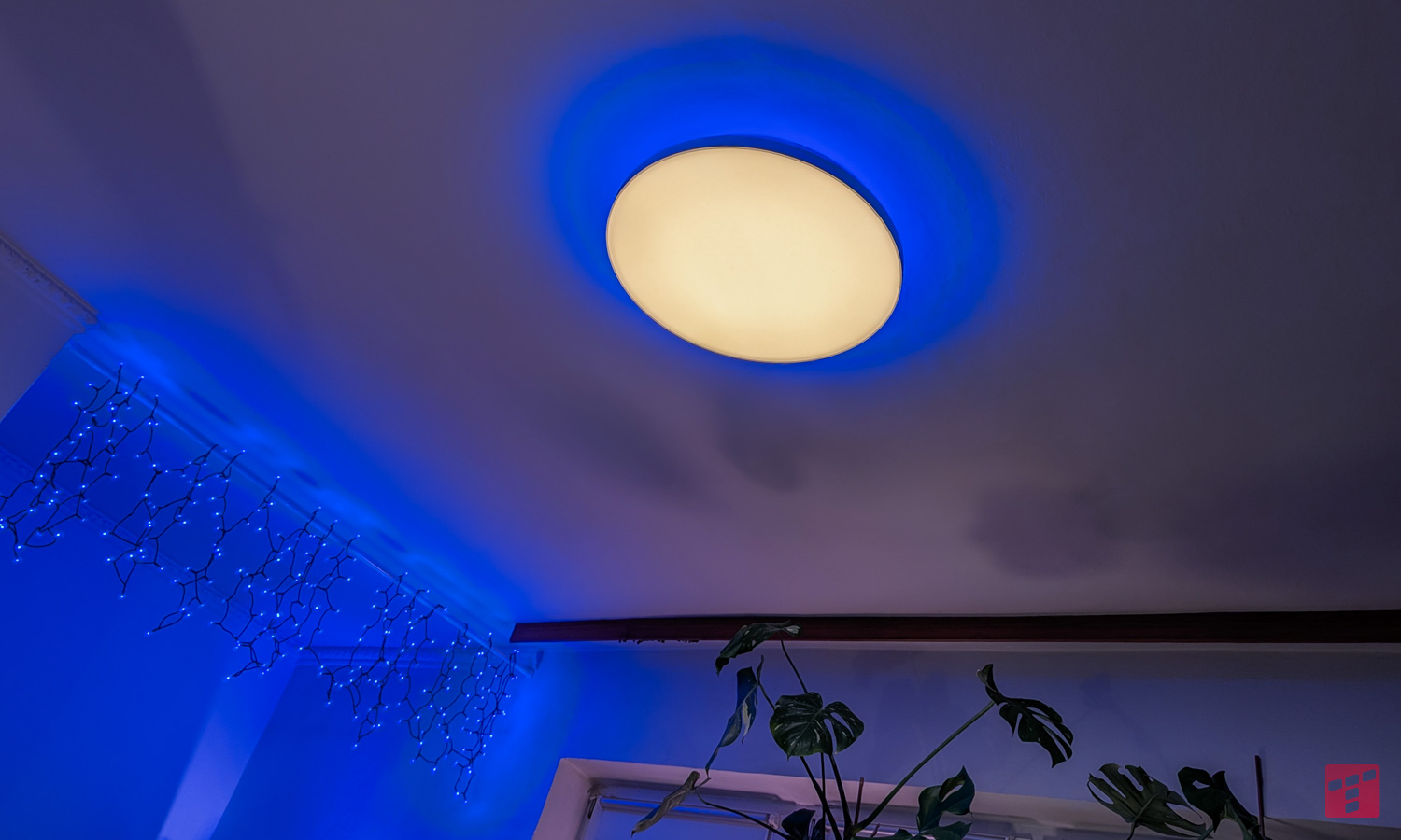 Datura es la reina de la iluminación de techo. Philips Hue los hace inteligentes