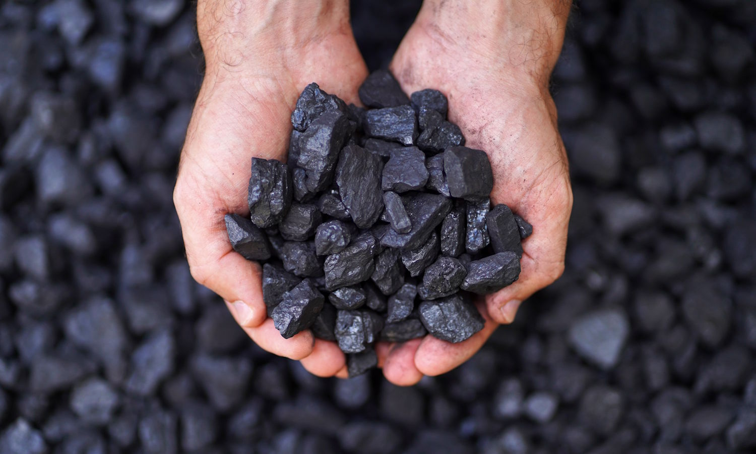 Compra un suministro de velas y un rallador. La UE quiere que uses menos electricidad