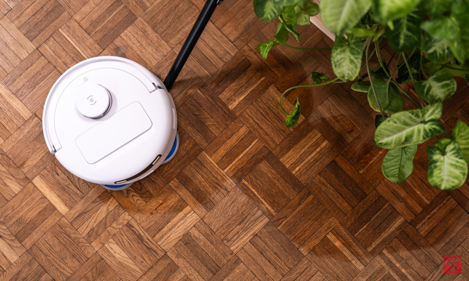 Ecovacs Deebot Mini - robot de limpieza para apartamentos pequeños (prueba)