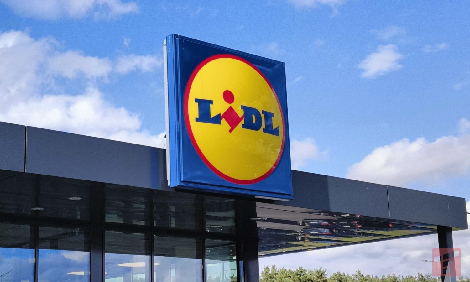 Lidl chce tylko 89,40 zł. Ogarnij rower jak król