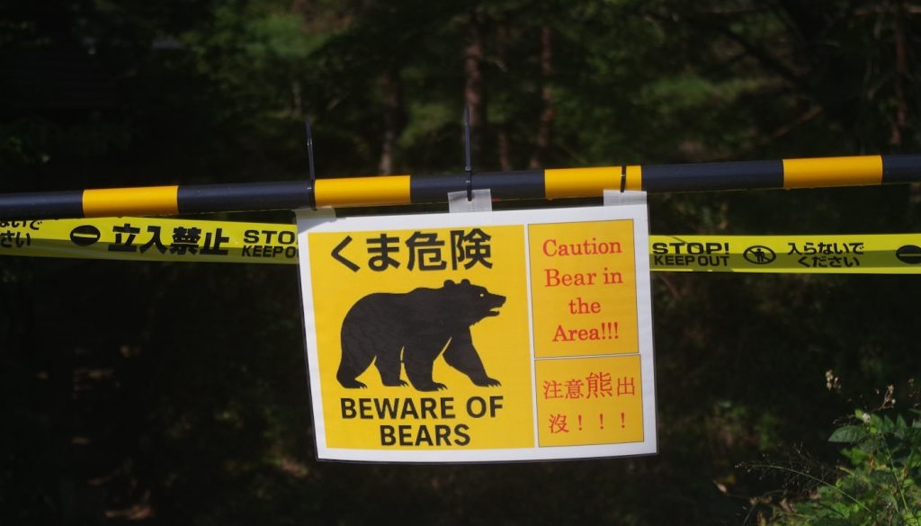Japonii brakuje robo-wilków. Chroniły rolników przed niedźwiedziami