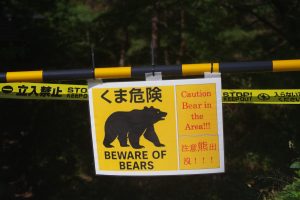 A Japón le faltan robo-lobos. Protegieron a los agricultores de los osos