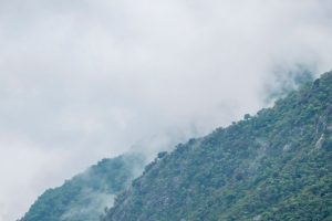 La tecnología por sí sola no salvará el clima. Pocas personas consideran esta alternativa