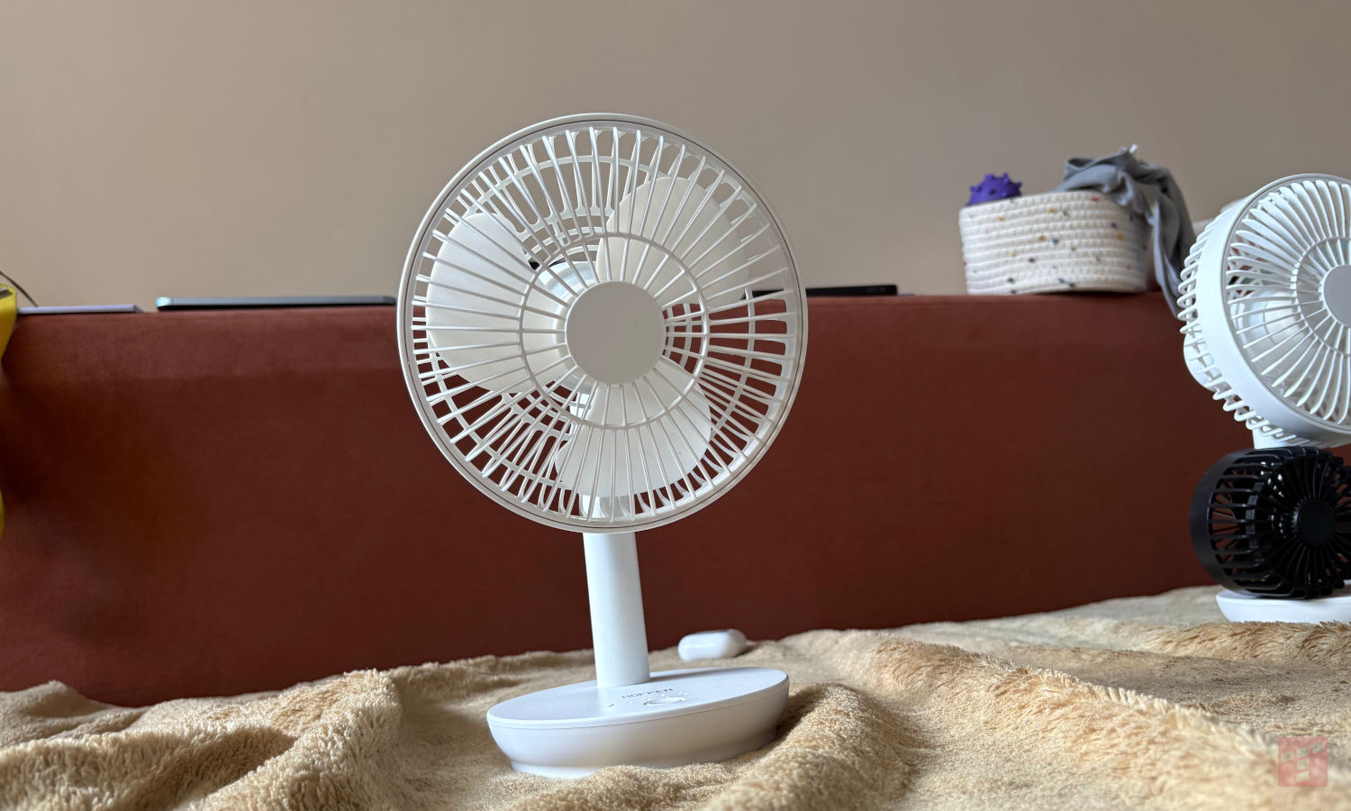 Muchos polacos creen en el mito de los ventiladores. No cometas este error
