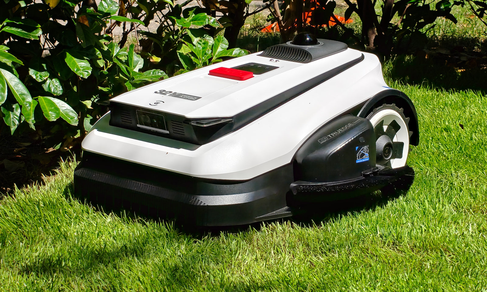 Cortacésped con IA y eliminador de manchas secas. Comprobé con qué quiere ECOVACS conquistar Polonia