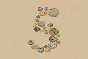 Se estrena Claude Opus 5. el es un peleador de peso pesado