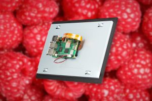 Raspberry Pi con algo nuevo. Mide 10 pulgadas de largo y le gusta que lo toquen.