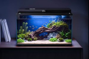 Xiaomi introduce un acuario en su oferta. Tiene pantalla, sensores y un filtro grande.