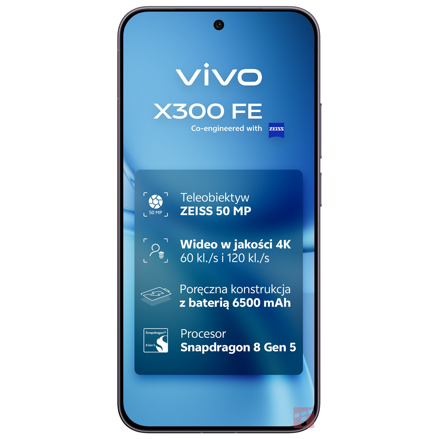 Vivo X300 FE