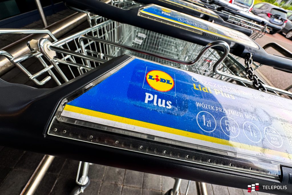 Lidl utrudni życie Niemcom, ale Europa skorzysta. Idzie megainwestycja
