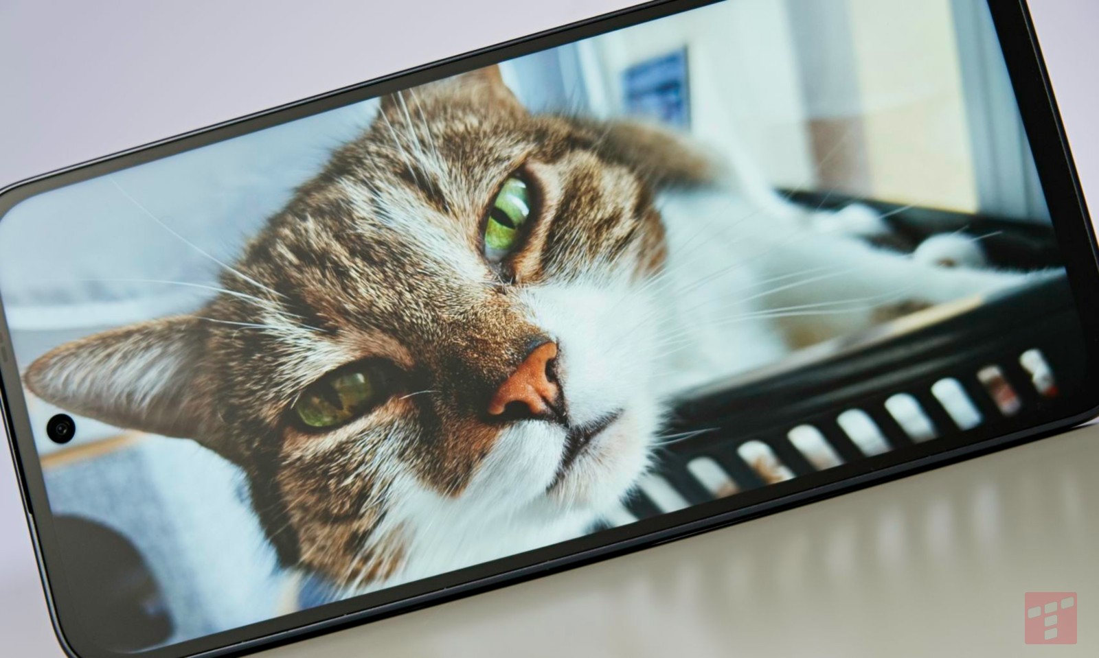 Los polacos compran láminas, mientras que TCL renuncia a la pantalla. que alivio