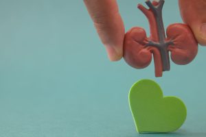 Las enfermedades cardíacas y renales van en aumento. La ciencia explica cómo prevenirlos